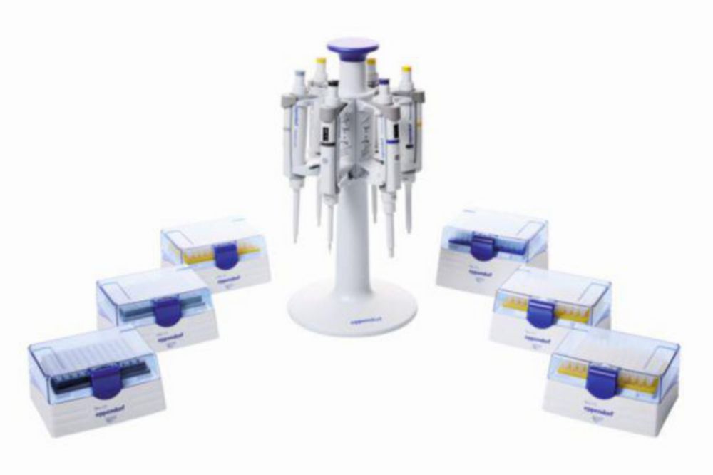 Research® plus, 6-Pack, mit epT.I.P.S., 6 Stück