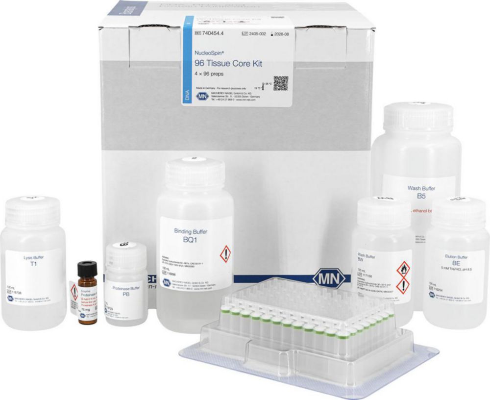 Isolation of viral RNA and DNA