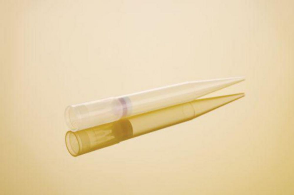 Filterspitzen ep Dualfilter T.I.P.S.® SealMax, BioBased, Biopur®, Reloads Filterspitzen ep Dualfilter T.I.P.S.® SealMax, BioBased, Biopur®, Reloads