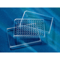 Lid, 96 Well Microplates, Low Evaporat, 50 Stück