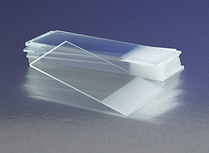 2948 75 X 25MM, 10 Stück
