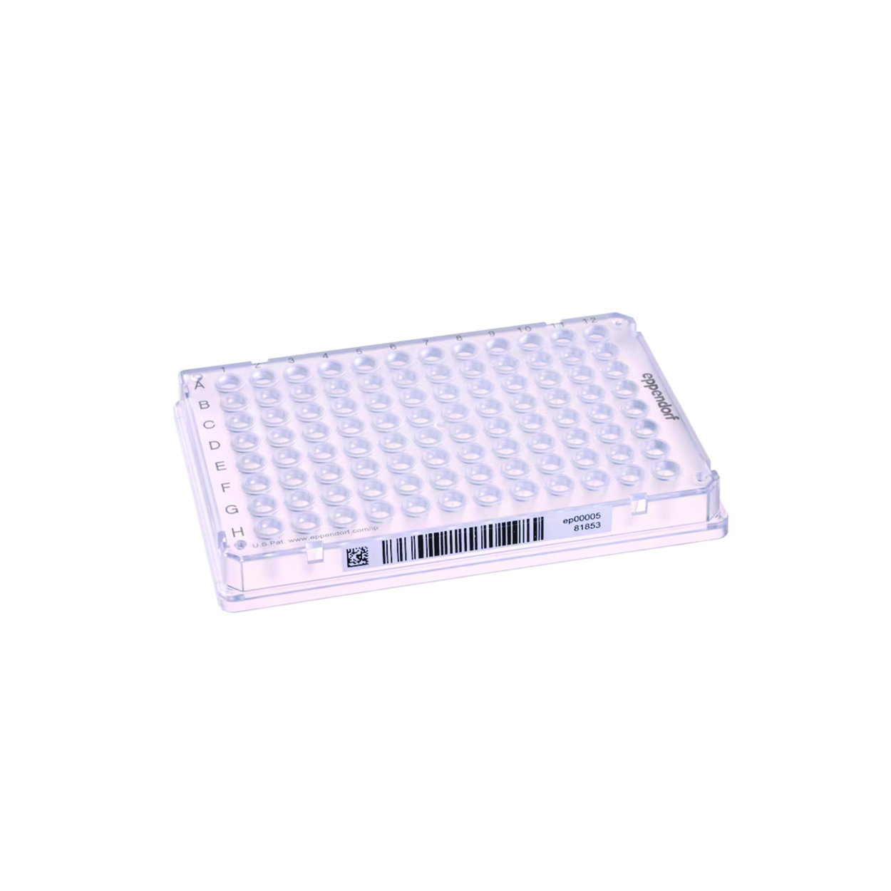 PCR-Platten Eppendorf twin.tec® 96, PCR clean, mit SafeCode PCR-Platten Eppendorf twin.tec® 96, PCR clean, mit SafeCode