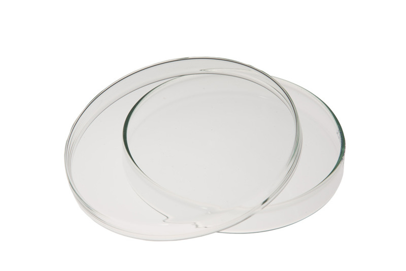 Petrischale, aus Kalk-Soda-Glas, 1 Stück Petrischale, aus Kalk-Soda-Glas, 1 Stück